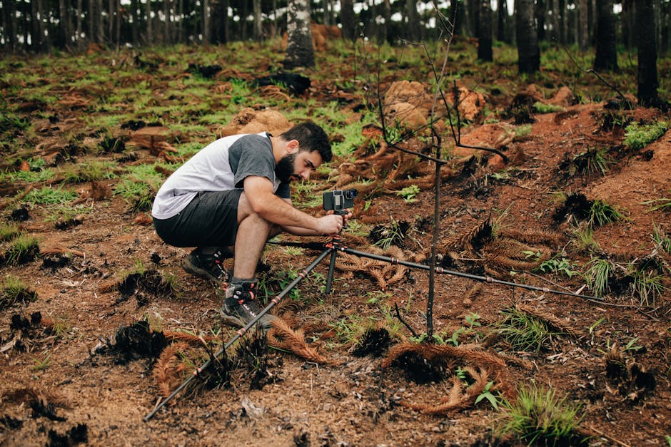 The Role of Tech in Wildlife Conservation