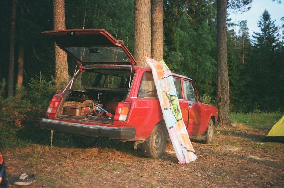 How to Choose a Sustainable Vehicle