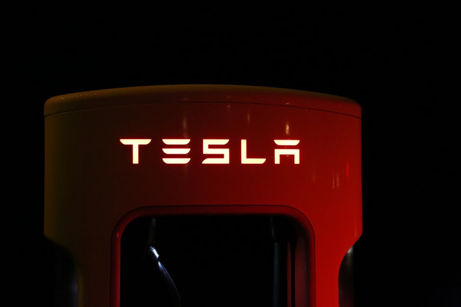 How to Choose a Sustainable Vehicle