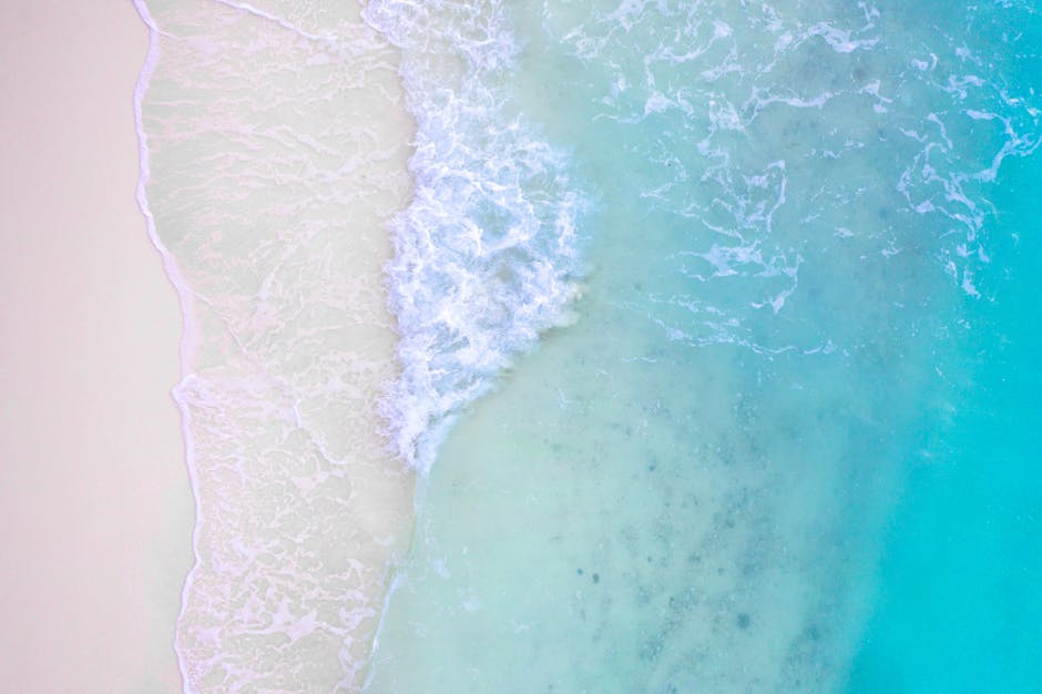 How Drones Are Helping the Environment