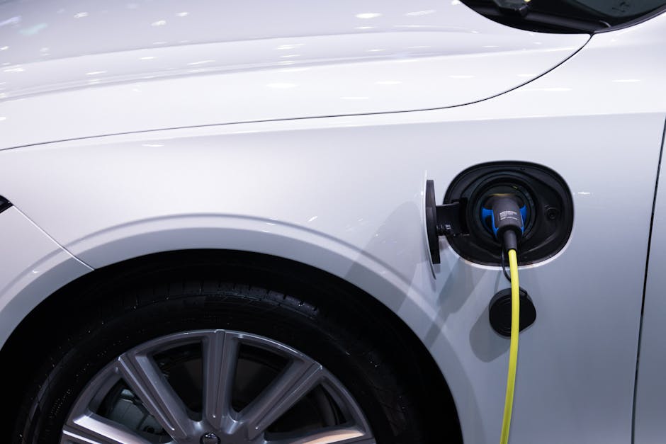 How to Choose a Sustainable Vehicle