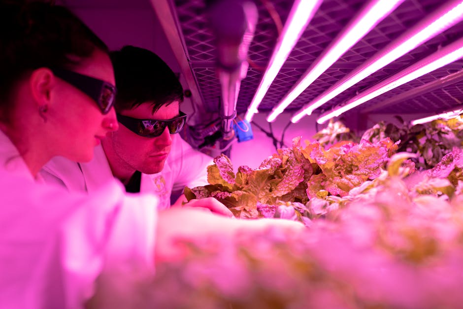 The Science Behind Eco-Friendly Farming