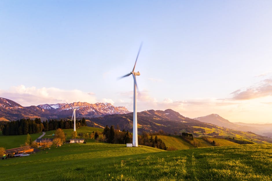 Understanding the Basics of Renewable Energy