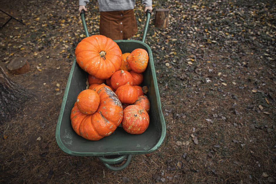 Sustainable Living: Small Changes, Big Impact