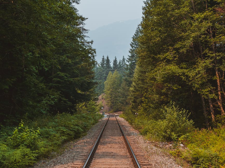 Revolutionizing Commute: Green Transport Solutions