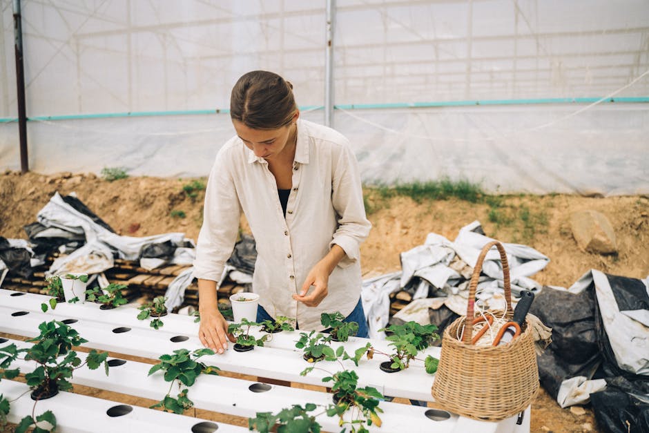 The Science Behind Eco-Friendly Farming