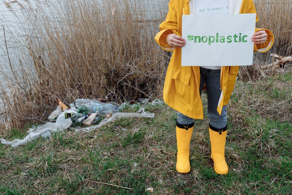 Sustainable Living: Small Changes, Big Impact
