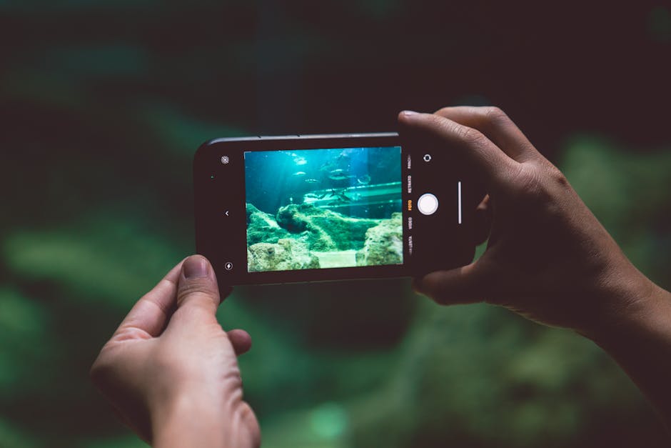 The Role of Tech in Wildlife Conservation