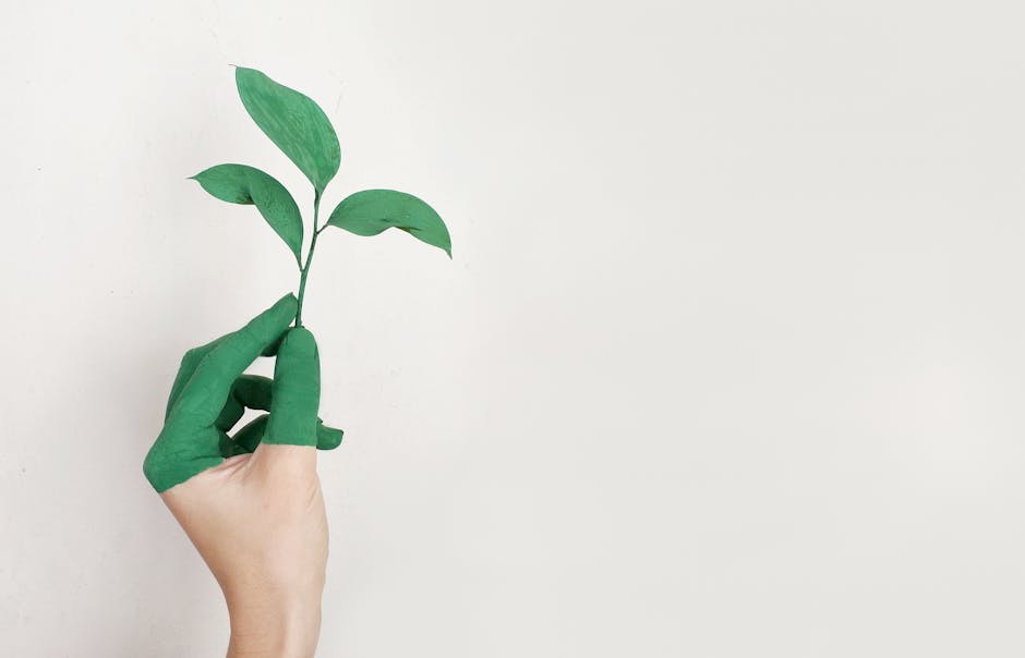 The Future of Ride-Sharing: Going Green