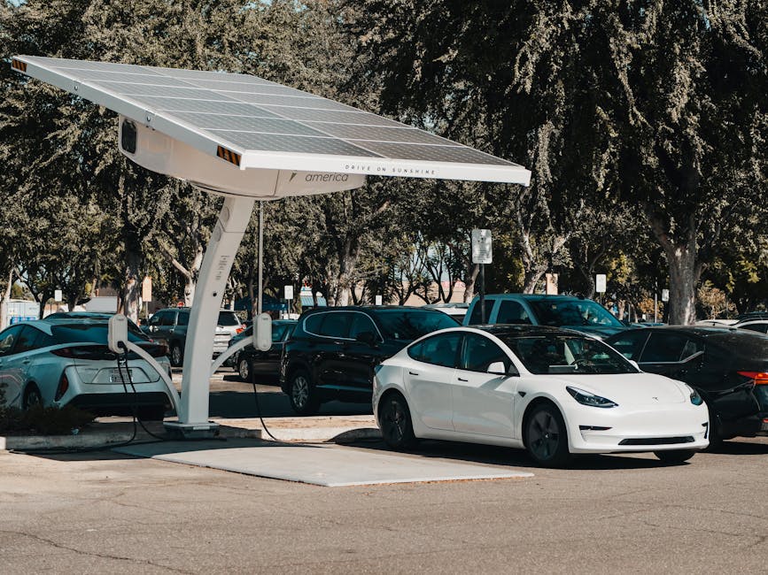 How to Choose a Sustainable Vehicle
