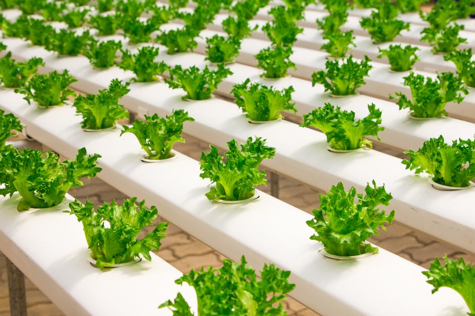 Innovative Technologies for Sustainable Living