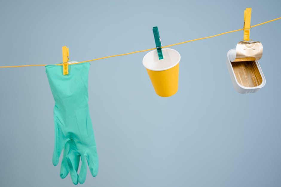 Eco-Friendly Innovations You Can Support