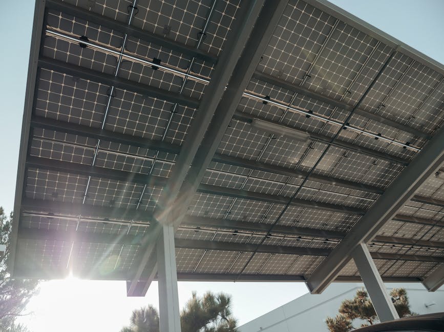 Eco-Friendly Innovations You Can Support